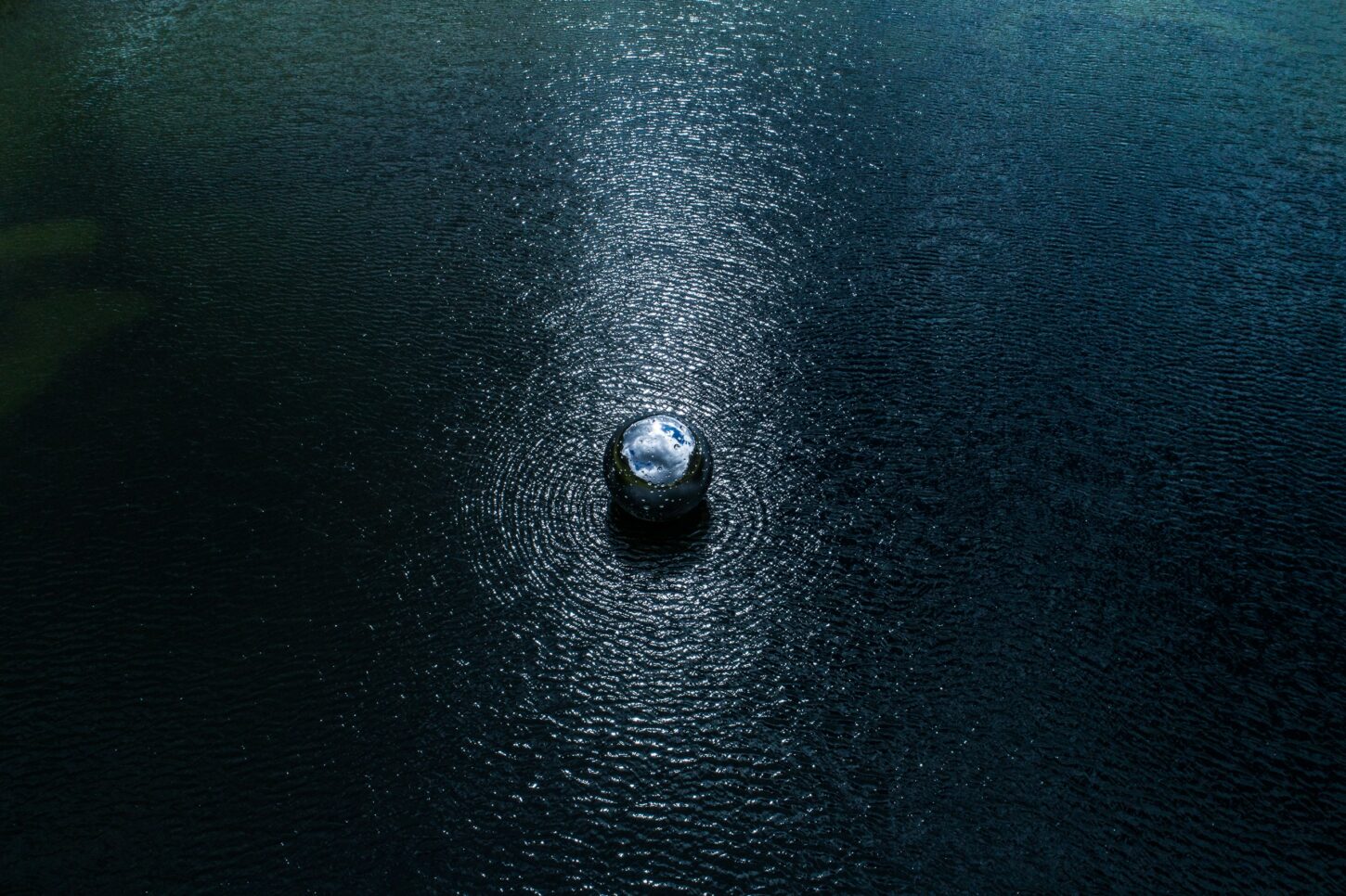 danuser-200618162443-min